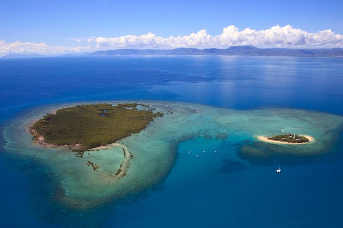 Half Day Low Isles Snorkelling Tour from Port Douglas - Timing the day: mornings and afternoons that avoid the worst crowd
