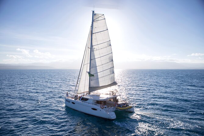 Half Day Low Isles Snorkelling Tour from Port Douglas - Snacks, coffee, tea, and the half-day pacing that keeps it enjoyable