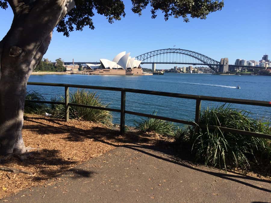 Half Day Small Group : The Story of Sydney Tour - Guides Helen, Sharon, and Guy make it personal