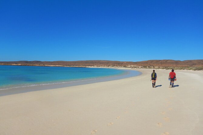 Half Day Snorkel 2.5hr Turtle Tour on the Ningaloo Reef, Exmouth - The Crew and Boat Setup: Small Touches That Make Snorkeling Feel Easy