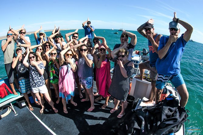 Half Day Snorkel 2.5hr Turtle Tour on the Ningaloo Reef, Exmouth - Price and Value: Is $104 Per Person Worth It?