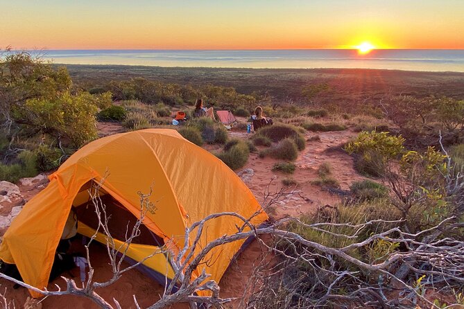 Half Day Snorkel 2.5hr Turtle Tour on the Ningaloo Reef, Exmouth - Should You Book the Half-Day Turtle Snorkel on Ningaloo Reef?