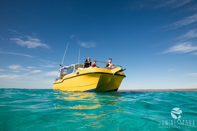 Half Day Snorkel 2.5hr Turtle Tour on the Ningaloo Reef, Exmouth - Your First Stop at Ningaloo Reef: Coral Gardens and Wildlife Spotting