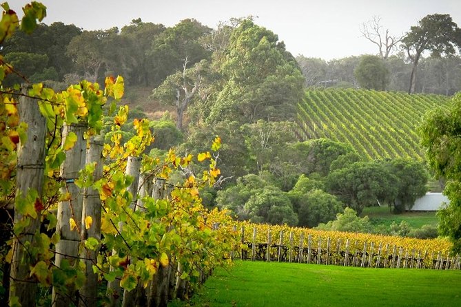 Half-Day Swan Valley & Wildlife Park Tour - Key Points Before You Go