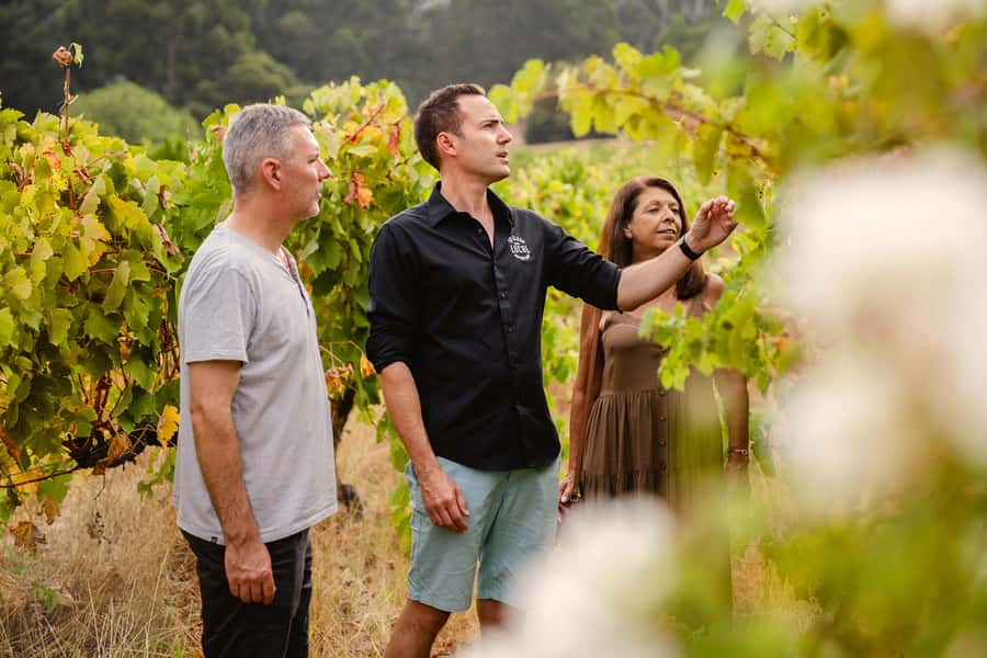 Half-Day Swan Valley Wine Tour with Tastings - From Perth - Pickup points in Perth, Crown Perth, and Guildford