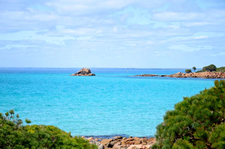 Half day Wine and Sights Discovery Tour Busselton - Key highlights to clock before you go