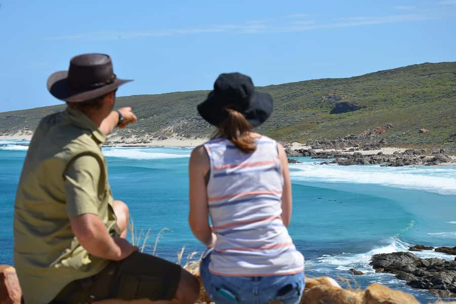 Half day Wine and Sights Discovery Tour Busselton - Who should book this tour, and who should skip it
