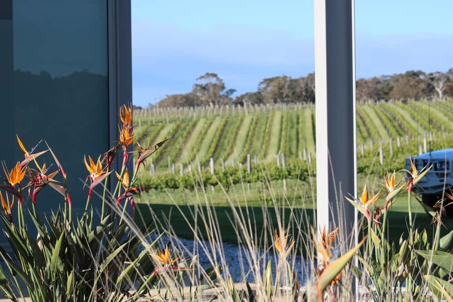 Half day Wine and Sights Discovery Tour Busselton - Cape Naturaliste: the coast stop that sets the whole tone