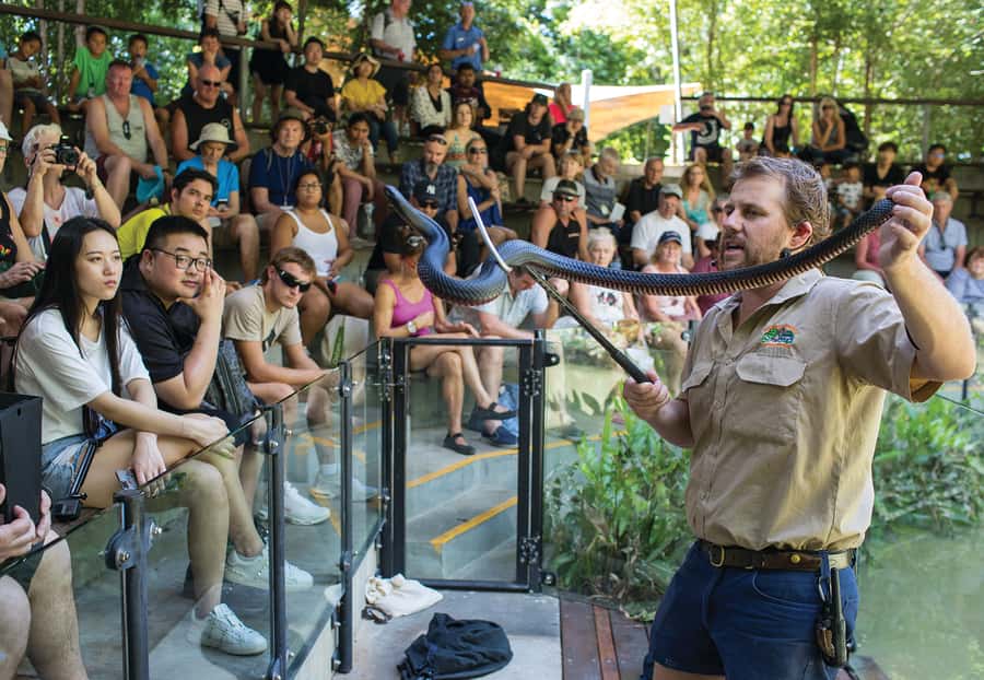 Hartley's Crocodile Adventures Park Entry - Boardwalk wandering: 2.5 km of wetlands, woodland, and rainforest edges