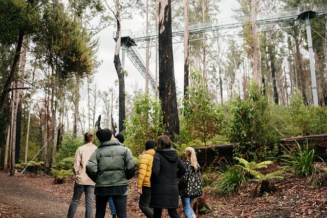 Hastings Caves, Tahune Airwalk and the Huon Tasting Trail - Key things I would not skip