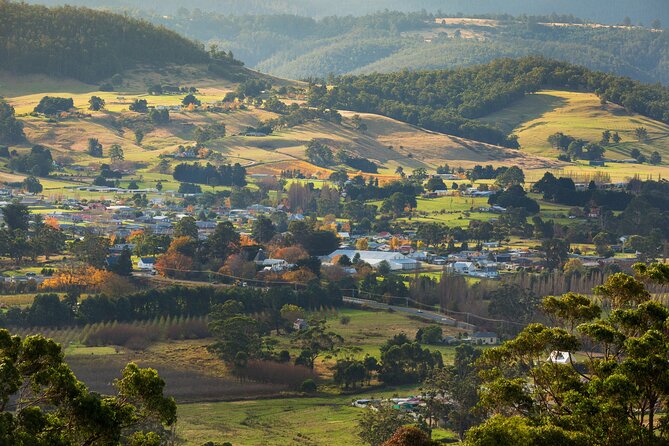 Hastings Caves, Tahune Airwalk and the Huon Tasting Trail - Wildlife and nature moments around the Southern Tasmania route