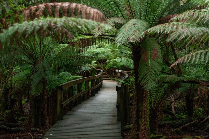 Hastings Caves, Tahune Airwalk and the Huon Tasting Trail - The day’s best asset is the guide, from Grey to Jodi to Nathan