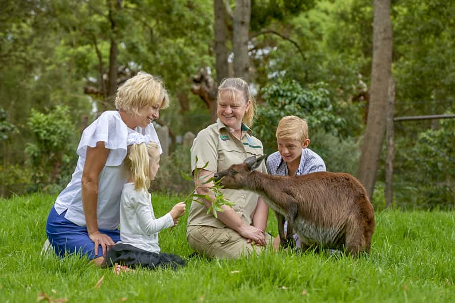 Healesville Sanctuary: General Admission Ticket - Tickets, timing, and building your own one-day route