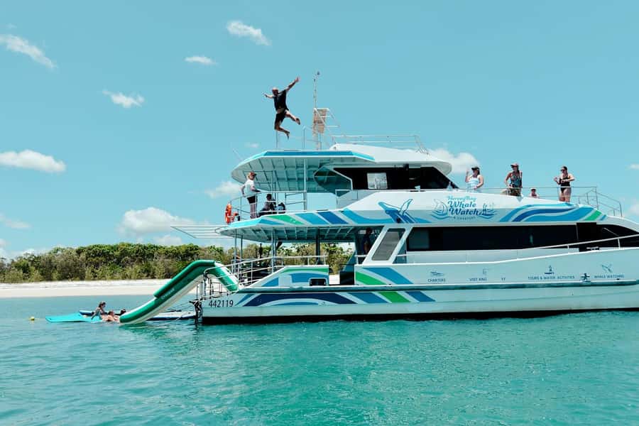 Hervey Bay: Aqua Oasis Cruise - Wildlife and scenery in the Great Sandy Straits: what you’re actually looking for