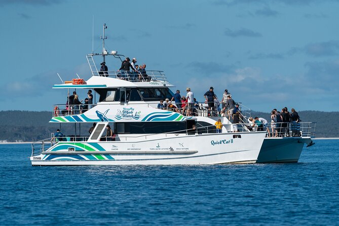 Hervey Bay: Best Value Half Day Whale Watching Cruise - Key points I’d plan around