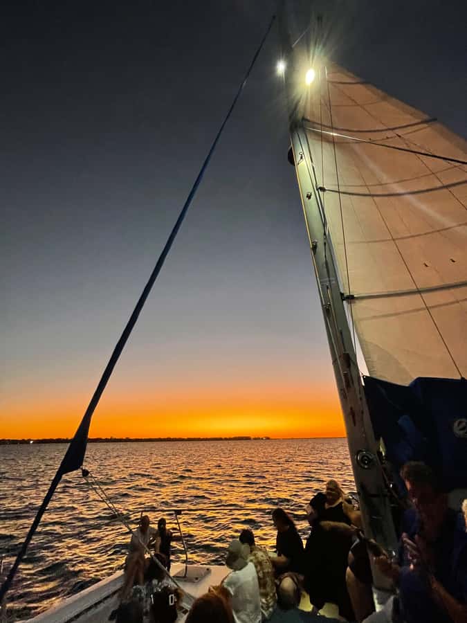 Hervey Bay Champagne Sunset Sail - Dolphins, turtles, and the science of looking at the right time
