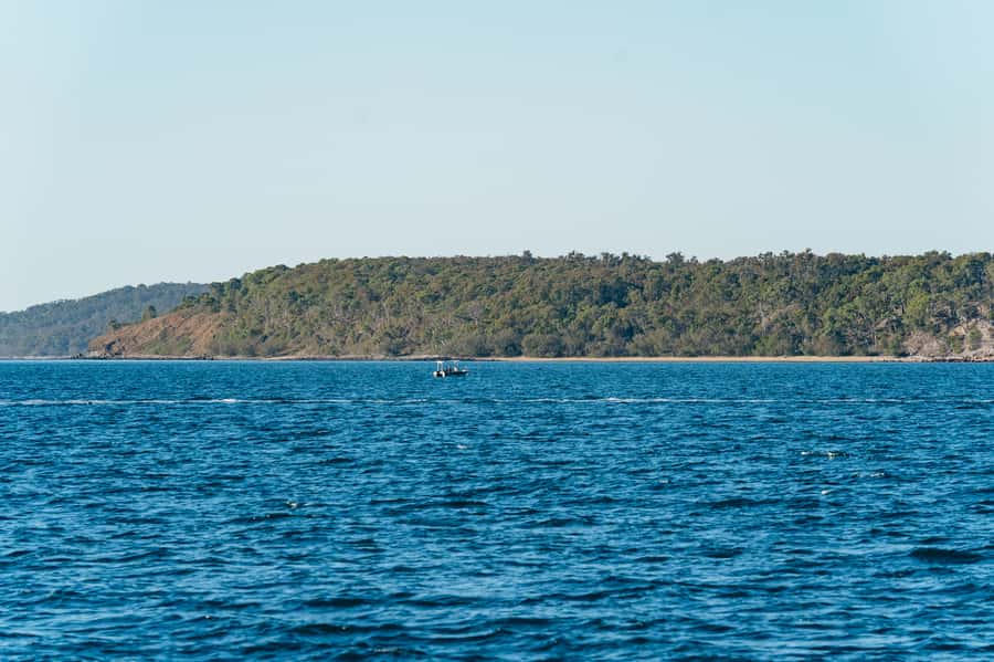 Hervey Bay: Exclusive Whale Watch Encounter - Meeting the captain and crew: Peter Lynch, Anika, Cassie, Hanna, Helen