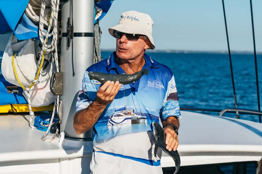 Hervey Bay: Exclusive Whale Watch Encounter - Hydrophone time: hearing whale singing, not just watching it