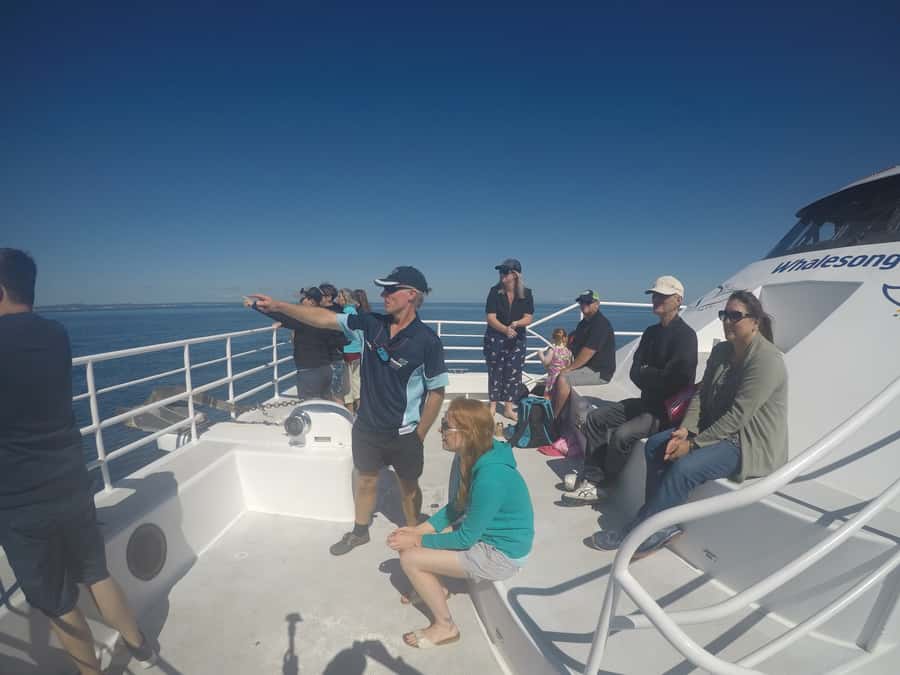 Hervey Bay: Half-Day Whale Watching Cruise with Meal - The four-hour rhythm: how the cruise time is used