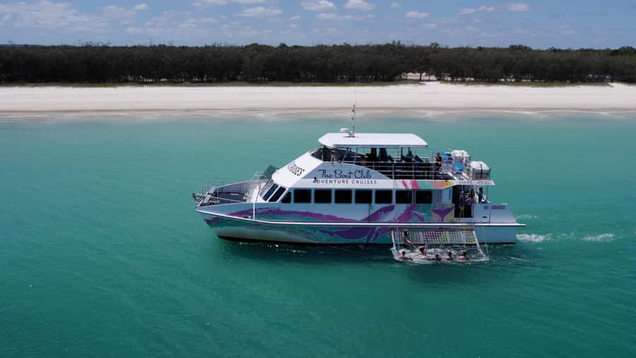 Hervey Bay: K'Gari(Fraser Is) Adventure & Sightseeing Cruise - Wildlife spotting that actually has a point