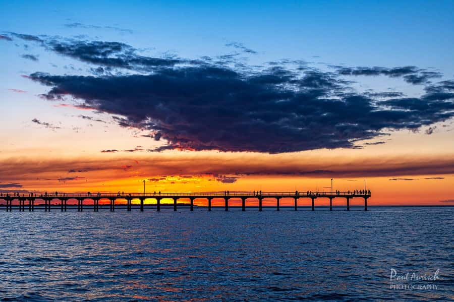 Hervey Bay: Relaxing Sunset Cruise with Champagne and Prawns - Key highlights worth planning around