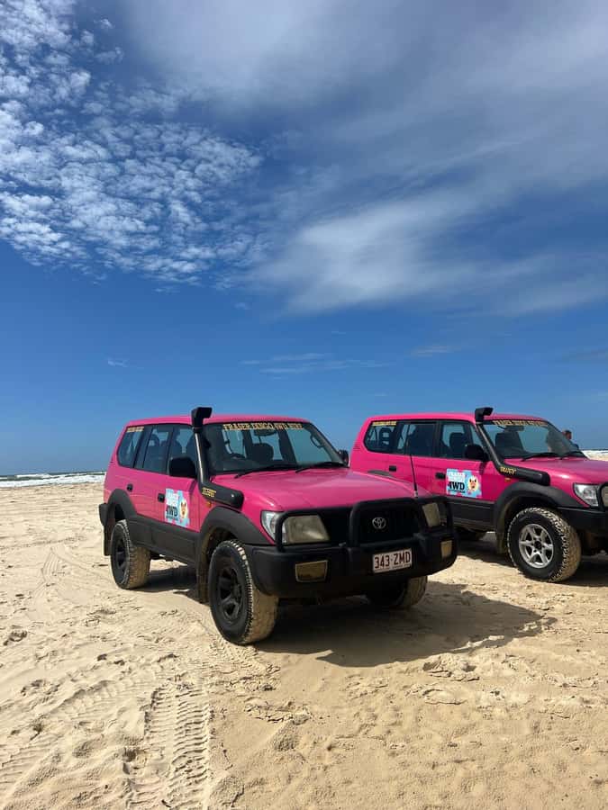Hervey Bay to K'gari/Fraser Island 2-Day Tour (Beach House) - Beach house nights: hot showers, shared rooms, and a real place to reset