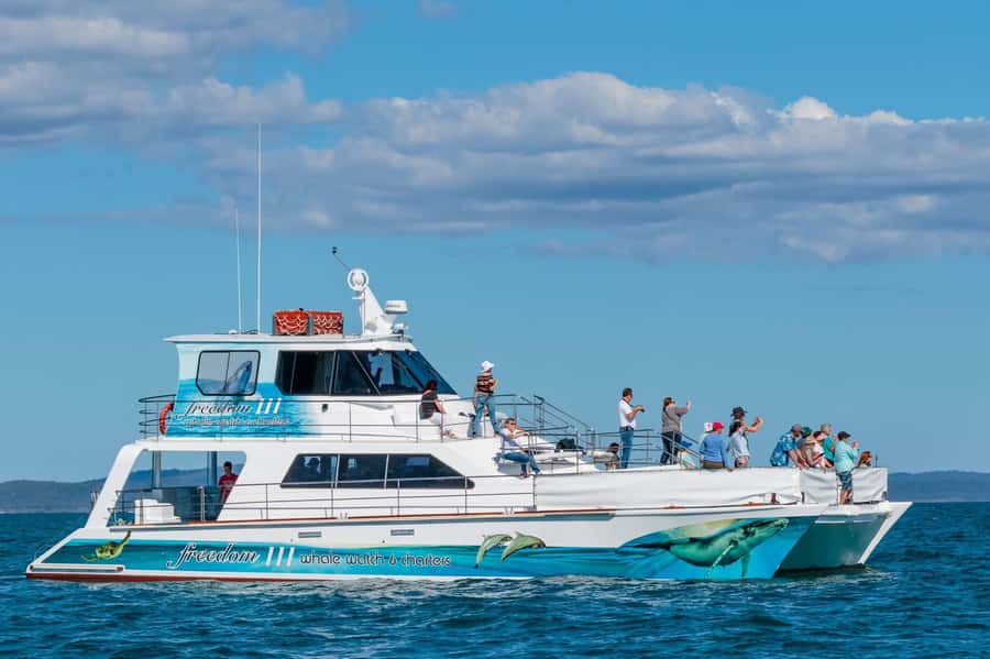 Hervey Bay Whale Odyssey Cruise - Freedom comfort: three toilets, air conditioning, and whale viewing at multiple heights