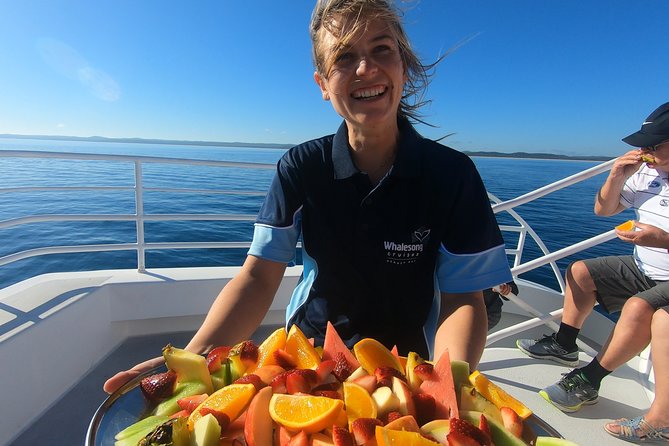 Hervey Bay Whale Watching Experience - Key things to know before you go