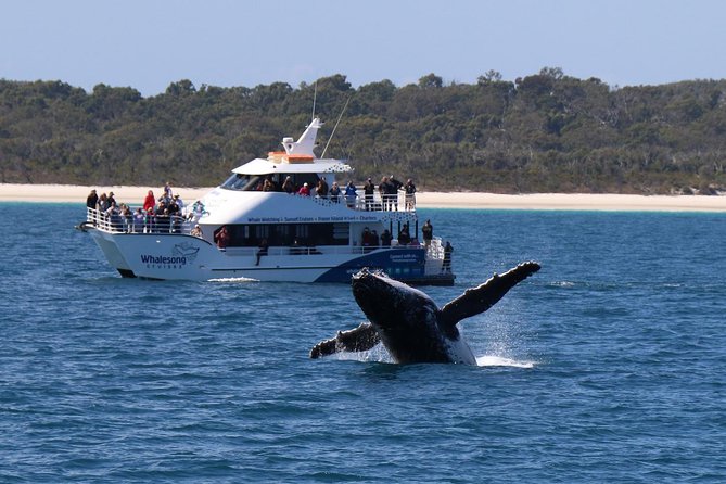 Hervey Bay Whale Watching Experience - Meals included, so you can stop thinking about food