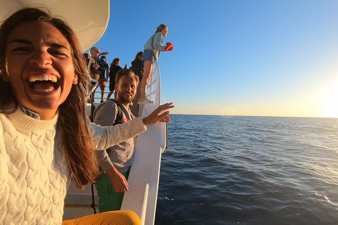 Hervey Bay Whale Watching Experience - The crew, the commentary, and why Captain-led spotting matters
