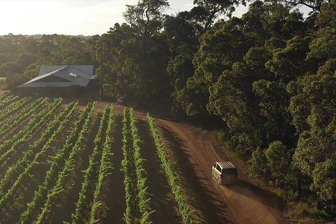 Hidden Gems: Boutique Full-Day Wine, Farm & Lunch Tour - The day’s structure: wine, food, and hands-on stops
