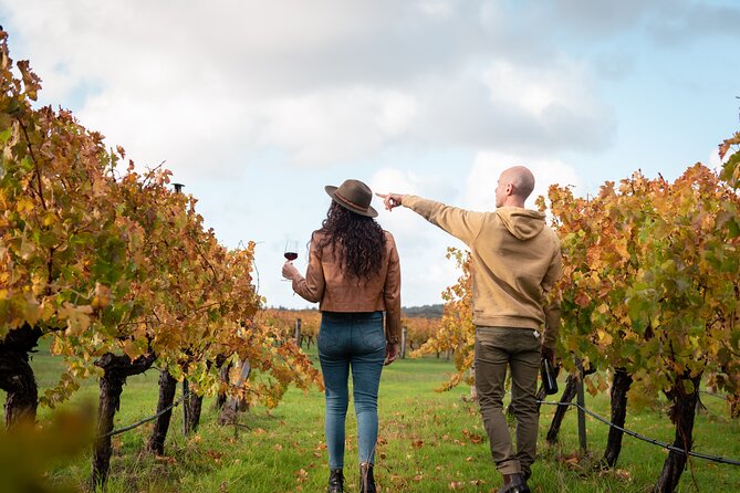 Hidden Gems: Boutique Full-Day Wine, Farm & Lunch Tour - Stop 1: Margaret River Hideaway & Farmstay, scones, and emu plus alpaca feeding