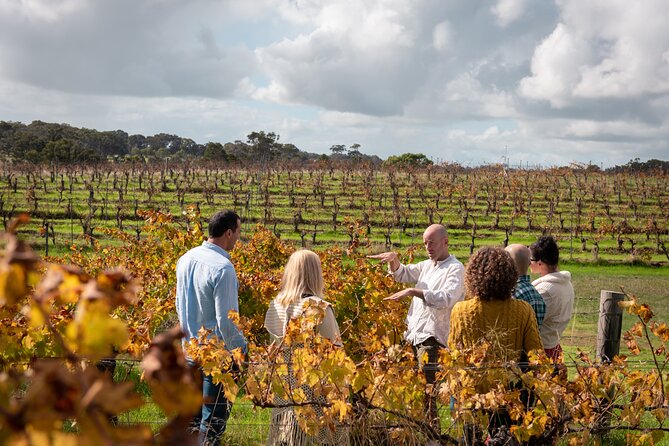 Hidden Gems: Boutique Full-Day Wine, Farm & Lunch Tour - Getting there smoothly: pickup, group size, and the 9:00 am start