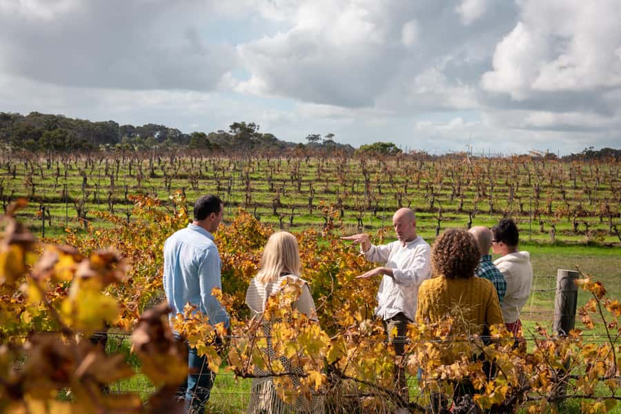 Hidden Gems Margaret River: Authentic Wine & Farm Experience - A Full Day With Farm Animals, Olive Oil, and Three Boutique Wineries