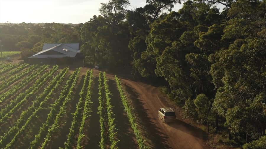 Hidden Gems Margaret River: Authentic Wine & Farm Experience - Cowaramup Snacks, Then Chocolate, Coffee, and Tea