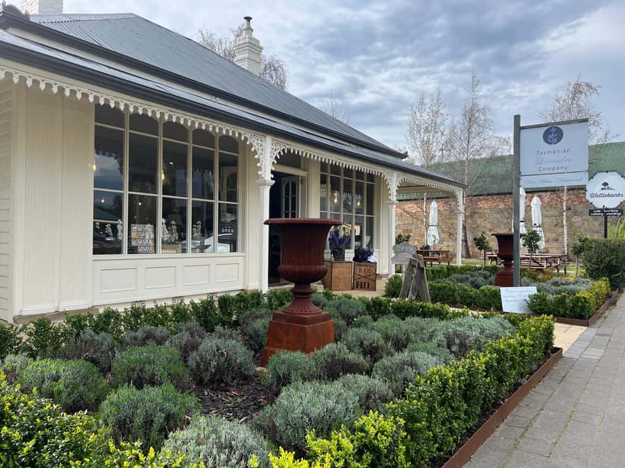 Historic Richmond Village Half-Day Coach Tour - Why Richmond Feels Special on a Half-Day Trip