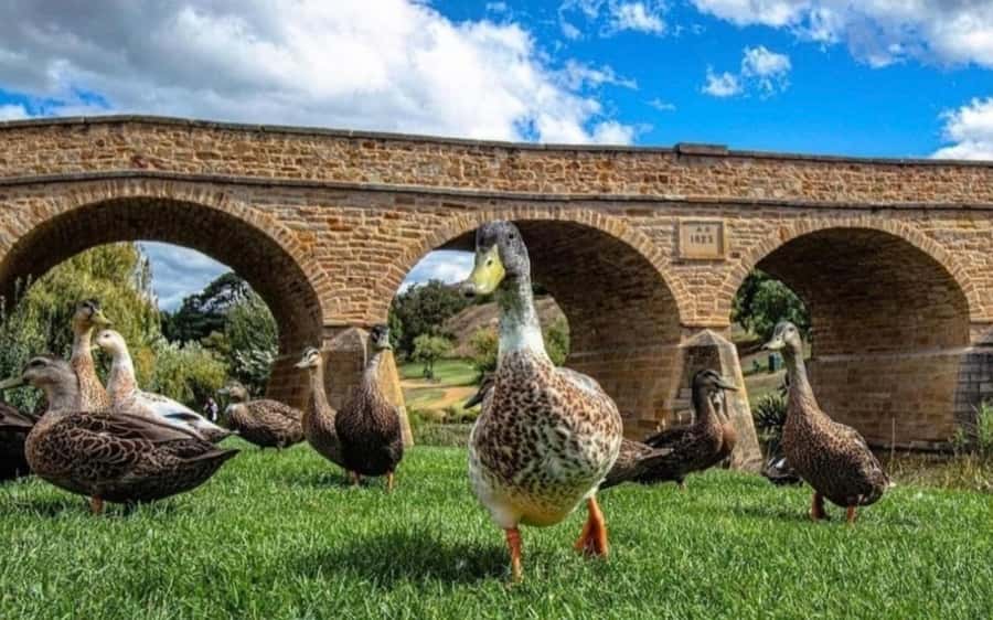 Historic Richmond Village Half-Day Coach Tour - Price and Value at $74, and How to Get Your Money’s Worth