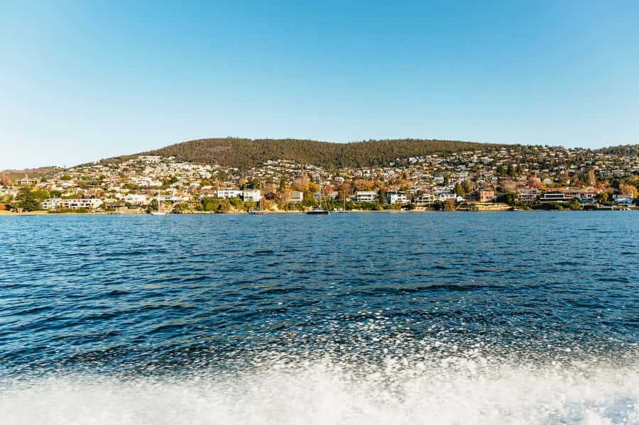 Hobart: 2.5-hour Iron Pot Lighthouse Cruise - Wildlife Odds: Dolphins, Seals, Whales, and Sea Eagles