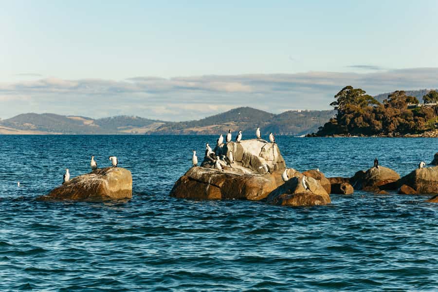Hobart: 2.5-hour Iron Pot Lighthouse Cruise - Iron Pot Lighthouse: The Main Event at Australia’s Oldest