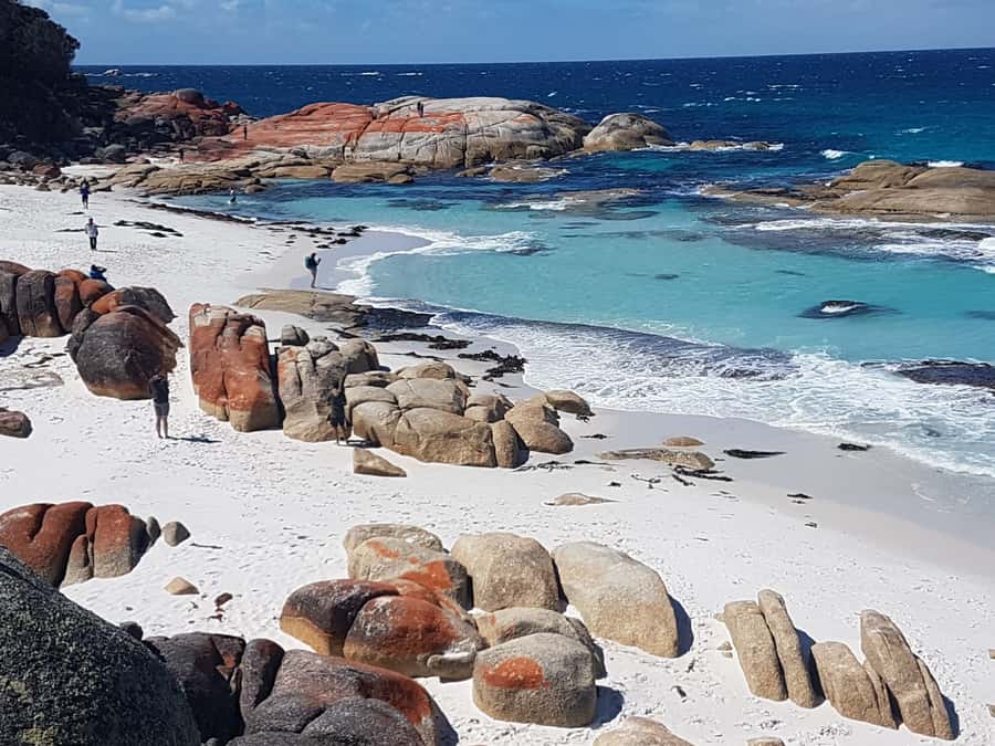 Hobart: 4 Day Wild Tasmania Tour - Key highlights that make this Wild Tasmania tour tick