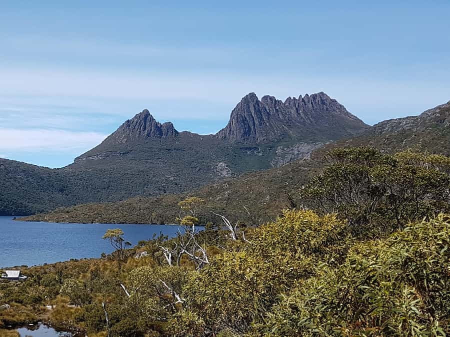 Hobart: 4 Day Wild Tasmania Tour - Two coasts, four days: what this tour is really built for