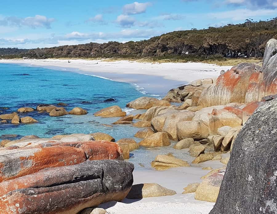 Hobart: 4 Day Wild Tasmania Tour - Walking options, weather reality, and what to pack