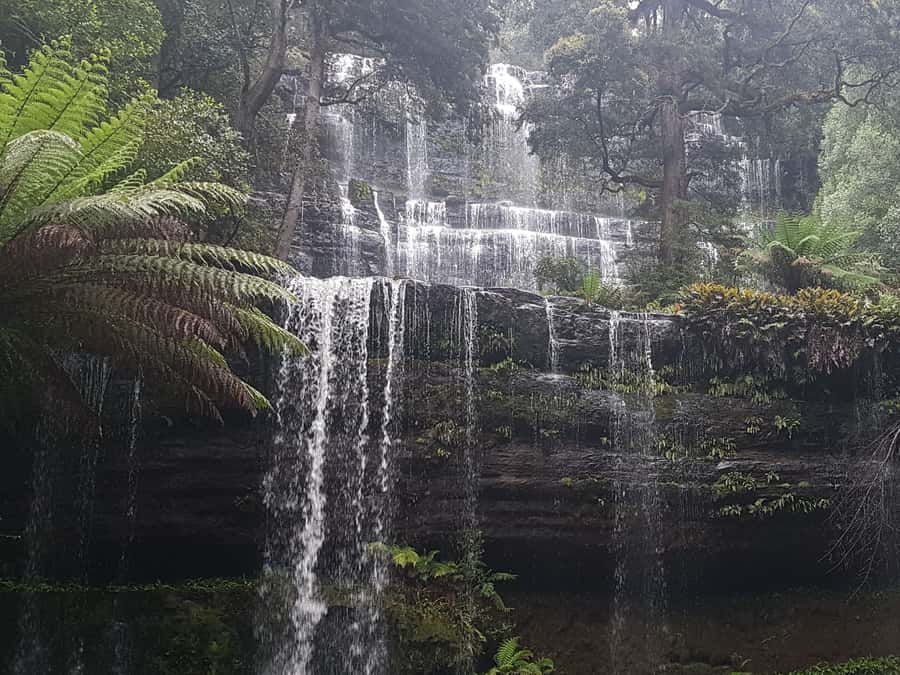 Hobart: 4 Day Wild Tasmania Tour - Getting picked up in Hobart, then settling into the pace