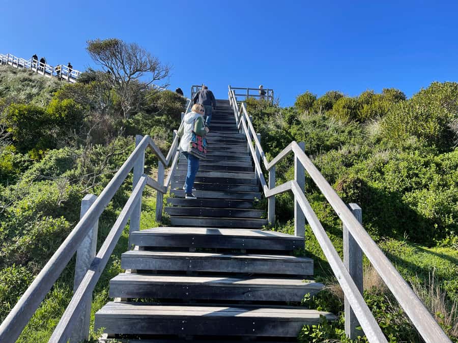 Hobart: Bruny Island Adventure: Hike, Highlights & Tastes - Cape Queen Elizabeth Trail to Bruny Arch: Where the Views Earn Their Fame