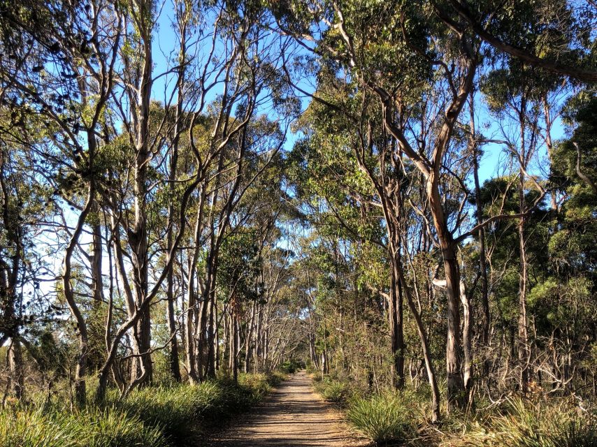 Hobart: Bruny Island Adventure: Hike, Highlights & Tastes - The Afternoon Tasting Trail: Cheese, Oysters, Honey, and Chocolate