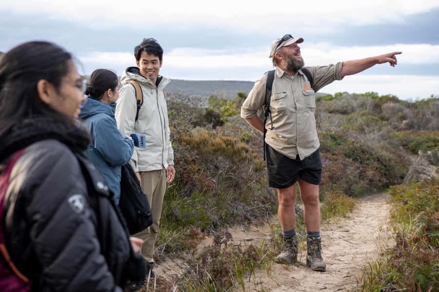 Hobart: Bruny Island Adventure: Hike, Highlights & Tastes - From Hobart at 6:55am: The Ferry Rhythm That Shapes Your Day