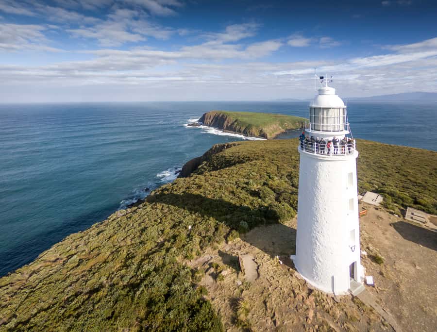 Hobart: Bruny Island Food, Sightseeing & Lighthouse Day Tour - Adventure Bay and the white wallaby search, plus a rainforest drive