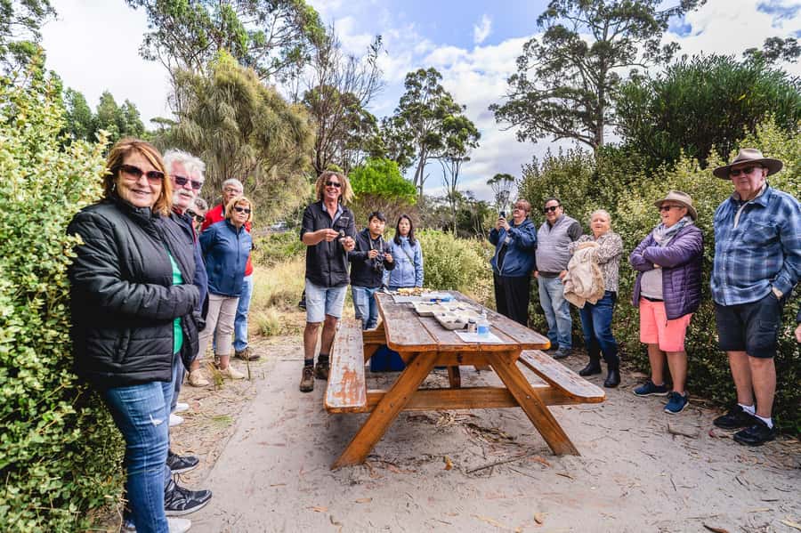 Hobart: Bruny Island Food, Sightseeing & Lighthouse Day Tour - The Neck lookout: 360-degree views and the 279-stairs reality