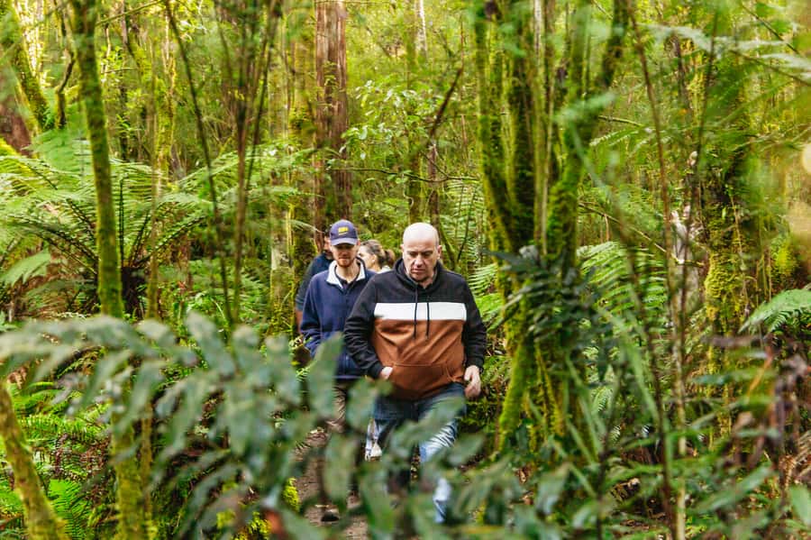 Hobart: Bruny Island Gourmet Sightseeing Day Tour - Getting from Hobart to Bruny Island: where the day starts