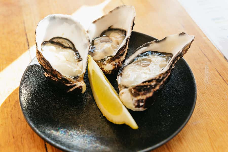 Hobart: Bruny Island Gourmet Sightseeing Day Tour - Bligh Museum and island history you can feel